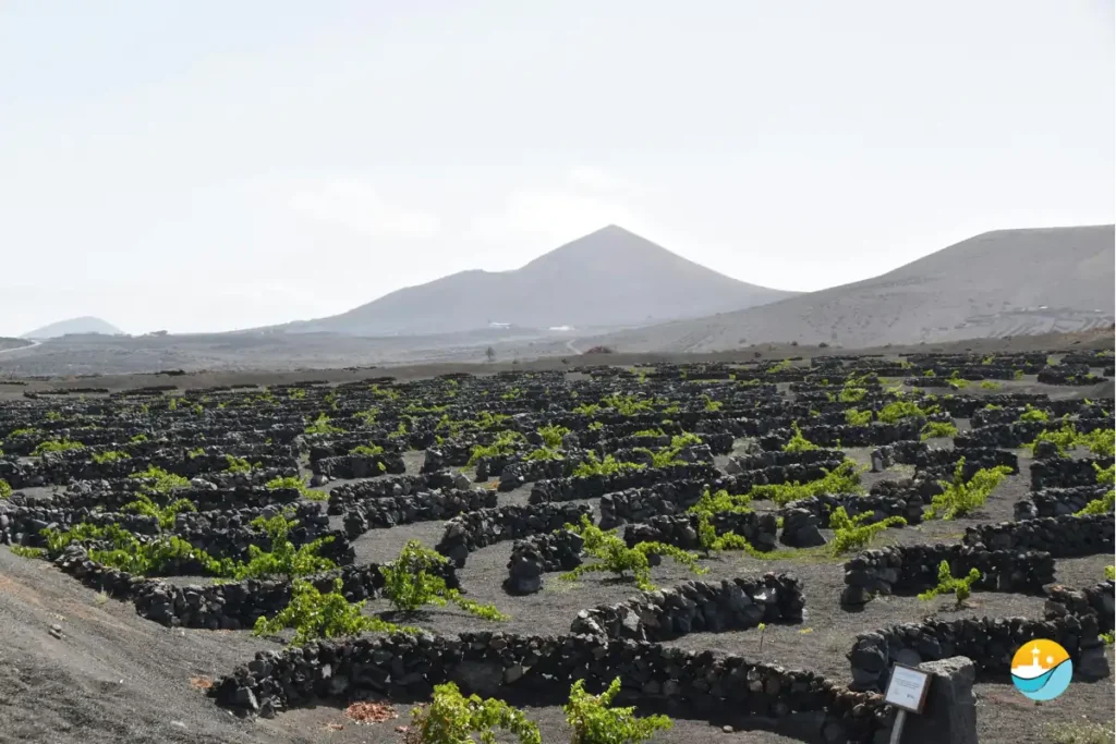 Imagen de qué hacer en 48 horas en Lanzarote