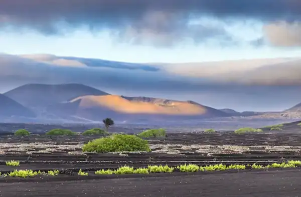 Eventos en Lanzarote 2026:El Calendario Completo de Fiestas y Festivales