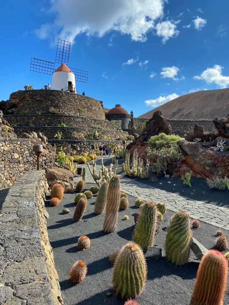 Imagen de Cesar Manrique, norte Lanzarote.