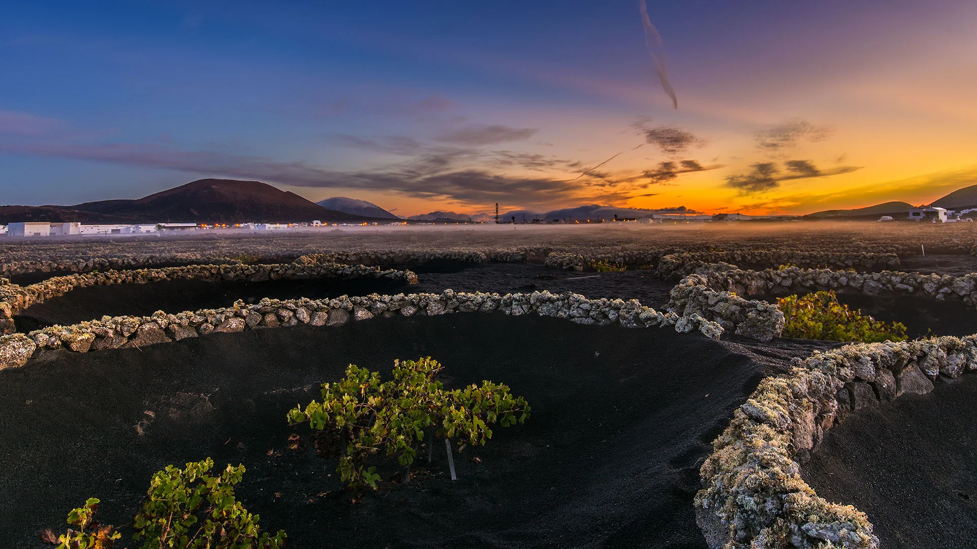 Vino volcánico de Lanzarote: 5 claves para descubrir La Geria (y catarlo sin conducir)