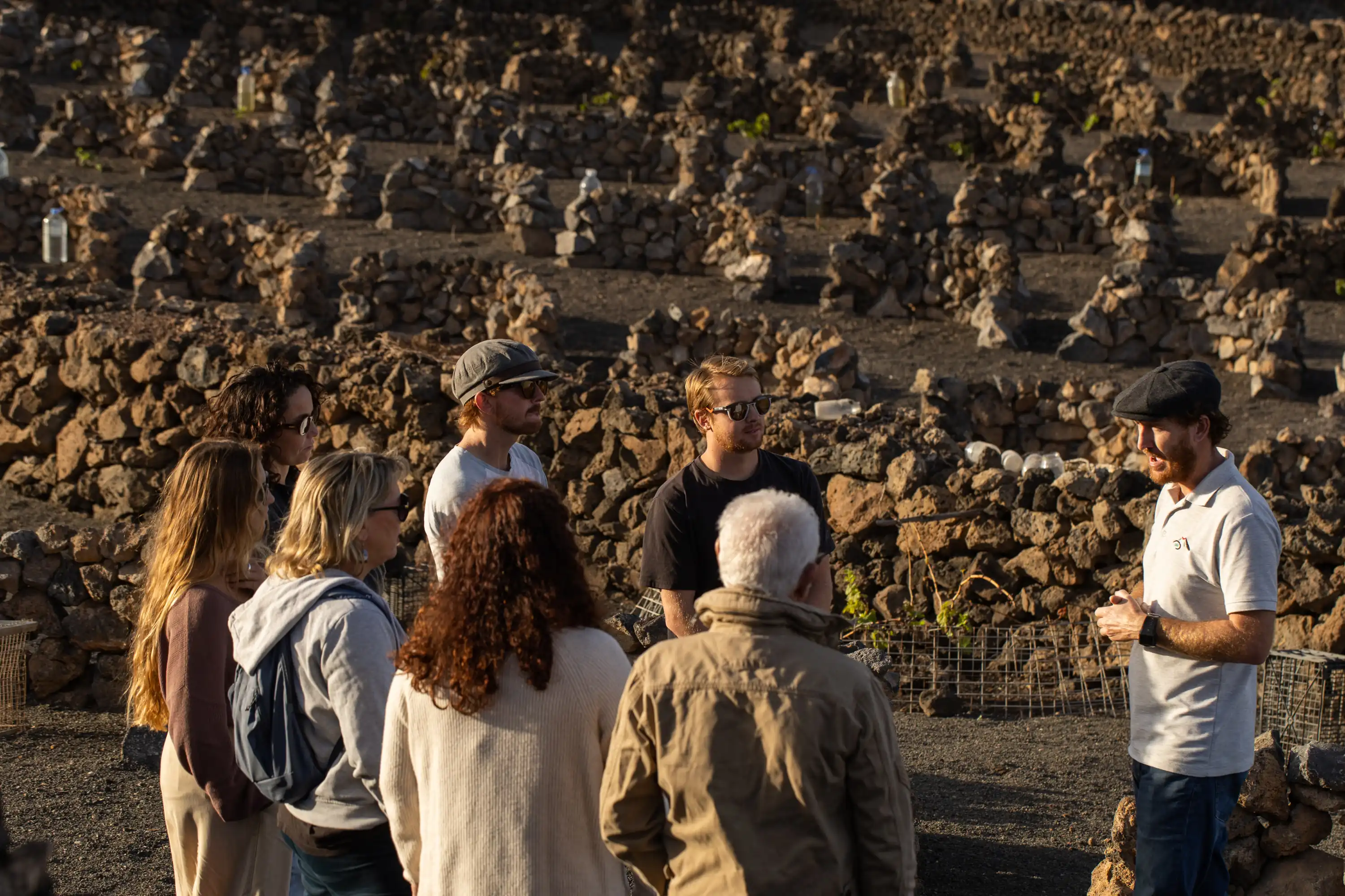 Wine Tours Lanzarote: descubre los viñedos volcánicos y los vinos únicos de la isla